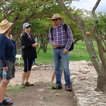 a group of people standing next to a tree