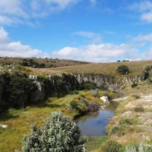 a river in the middle of a grassy field