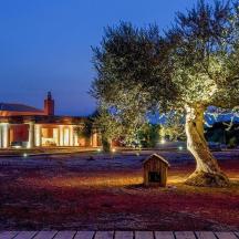una casa amb un arbre davant d'un edifici