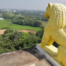 a statue of a lion sitting on top of a building