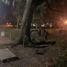 a tree in a cemetery at night