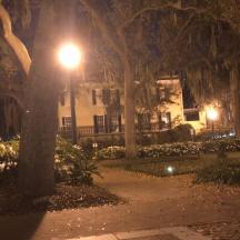 a street light in a park at night