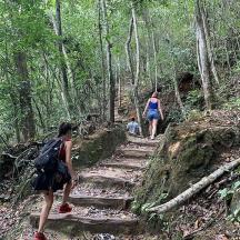 a group of people walking down a trail in the woods