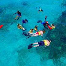 sekumpulan orang berenang di dalam air