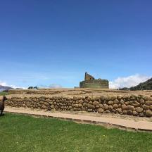 vuohi seisoo kivimuurin edessä