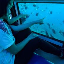 a woman sitting on a train looking at fish in a window