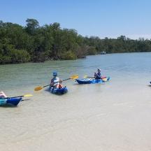 a group of people in kayaks on a river