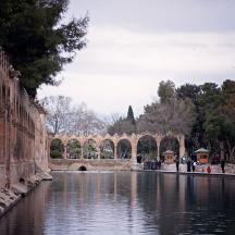 a view of a river in a park with a bridge