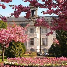 ein großes Gebäude mit rosa Blumen davor