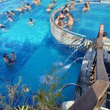 grupa ludzi pływających w basenie