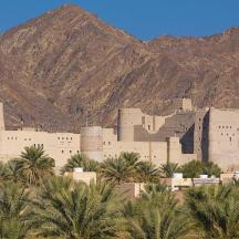 a large building with palm trees in front of a mountain