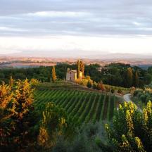 an estate on a hill with a vineyard