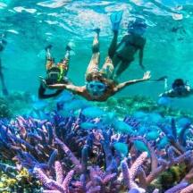 a group of people swimming over a coral reef