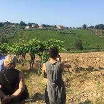 grupa ljudi koji stoje na polju i gledaju vinograd