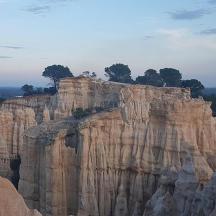 una formazione rocciosa con alberi in cima