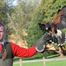 a man is holding a bird on his arm