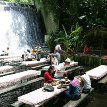 a group of people sitting at tables in front of a waterfall
