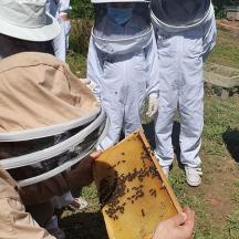 a man with a beekeeper holding a container of bees