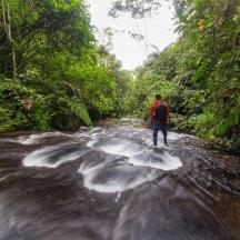a man standing on top of a river in the jungle