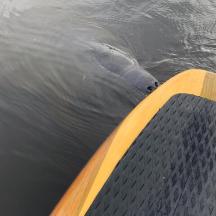 a view of the end of a boat in the water