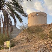 a building on the side of a hill with palm trees