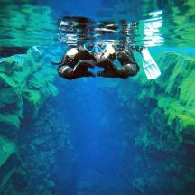 a person swimming in the water in a aquarium