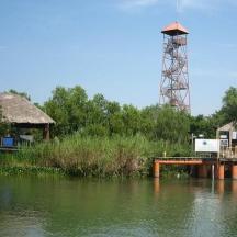 a bridge over a body of water with a tower