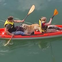 due persone e un cane in kayak sull'acqua