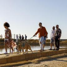 a group of people walking a dog on a sidewalk