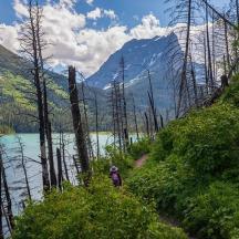 a person standing on a path near a body of water