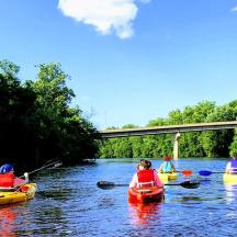 a group of people in kayaks on a river