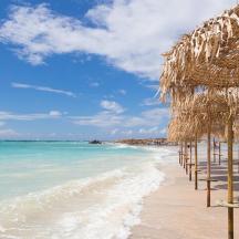 a beach with a row of straw umbrellas and the ocean