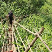 a man walking across a bamboo bridge in a field
