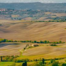 una vista delle dolci colline dei campi ondulati