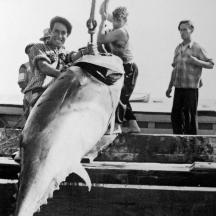 a man holding a shark in the water