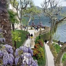 people walking along a path in a park with purple flowers