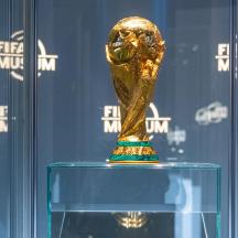 a trophy sitting on top of a glass table