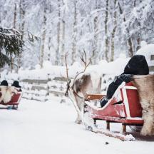un groupe de personnes faisant du traîneau dans la neige