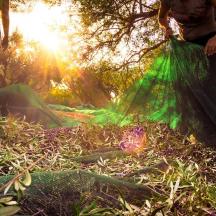 zwei Personen stehen im Gras mit einem grünen Netz
