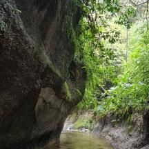 a rock wall next to a river in a forest