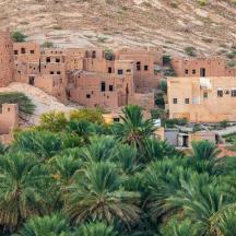 eine Luftaufnahme eines Dorfes mit Palmen
