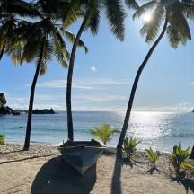 a boat sitting on a beach with palm trees