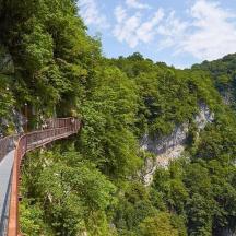eine Brücke über einen Berg mit Bäumen darauf