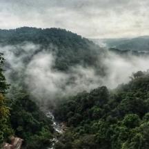 a view of a valley with a river in a forest