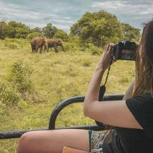 a woman taking a picture of two elephants in a field