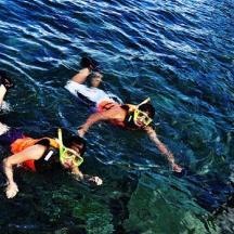 sekumpulan orang berenang di dalam air