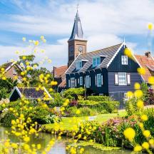 et hus med et klokketårn og en dam med gule blomster