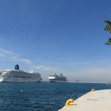 two cruise ships docked in the water with palm trees