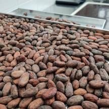 a large pile of nuts on a display