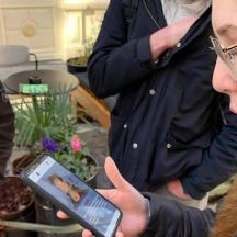 a woman is looking at a cell phone